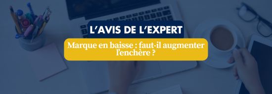 Banner with the text 'L'AVIS DE L'EXPERT' and a yellow speech bubble reading 'Marque en baisse : faut-il augmenter l'enchère ?', set against a blue desk scene.