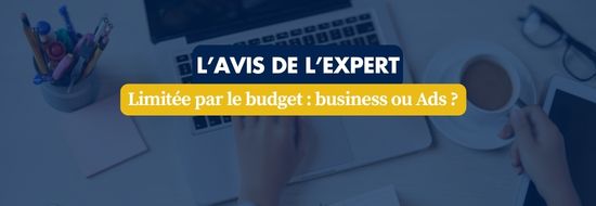 Limitée par le budget _ business ou Ads | Blog Google Ads, Marketing Digital & Business