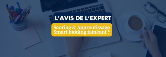 Scoring Apprentissage Smart bidding fainéant | Blog Google Ads, Marketing Digital & Business